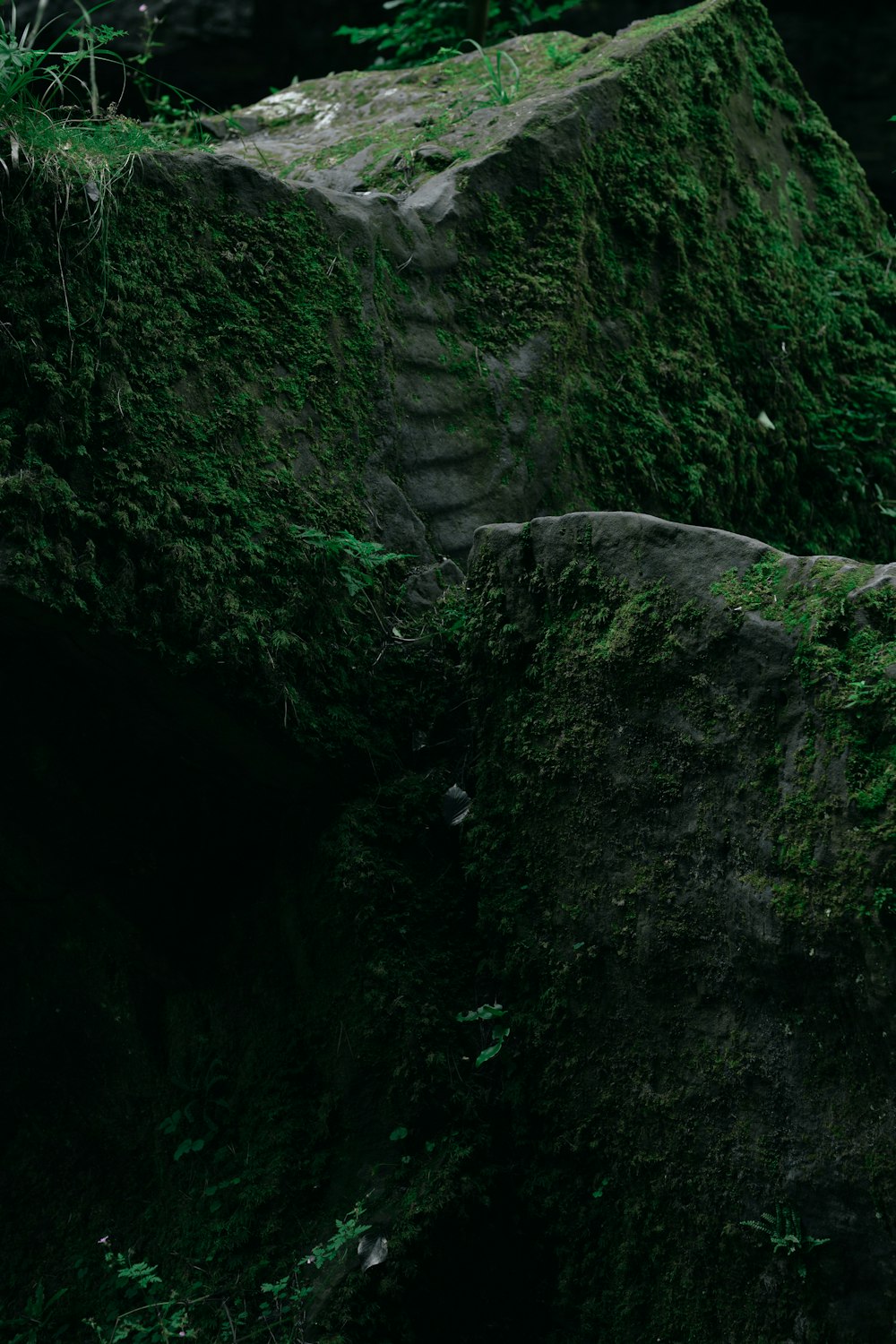 a large rock covered in green moss in a forest