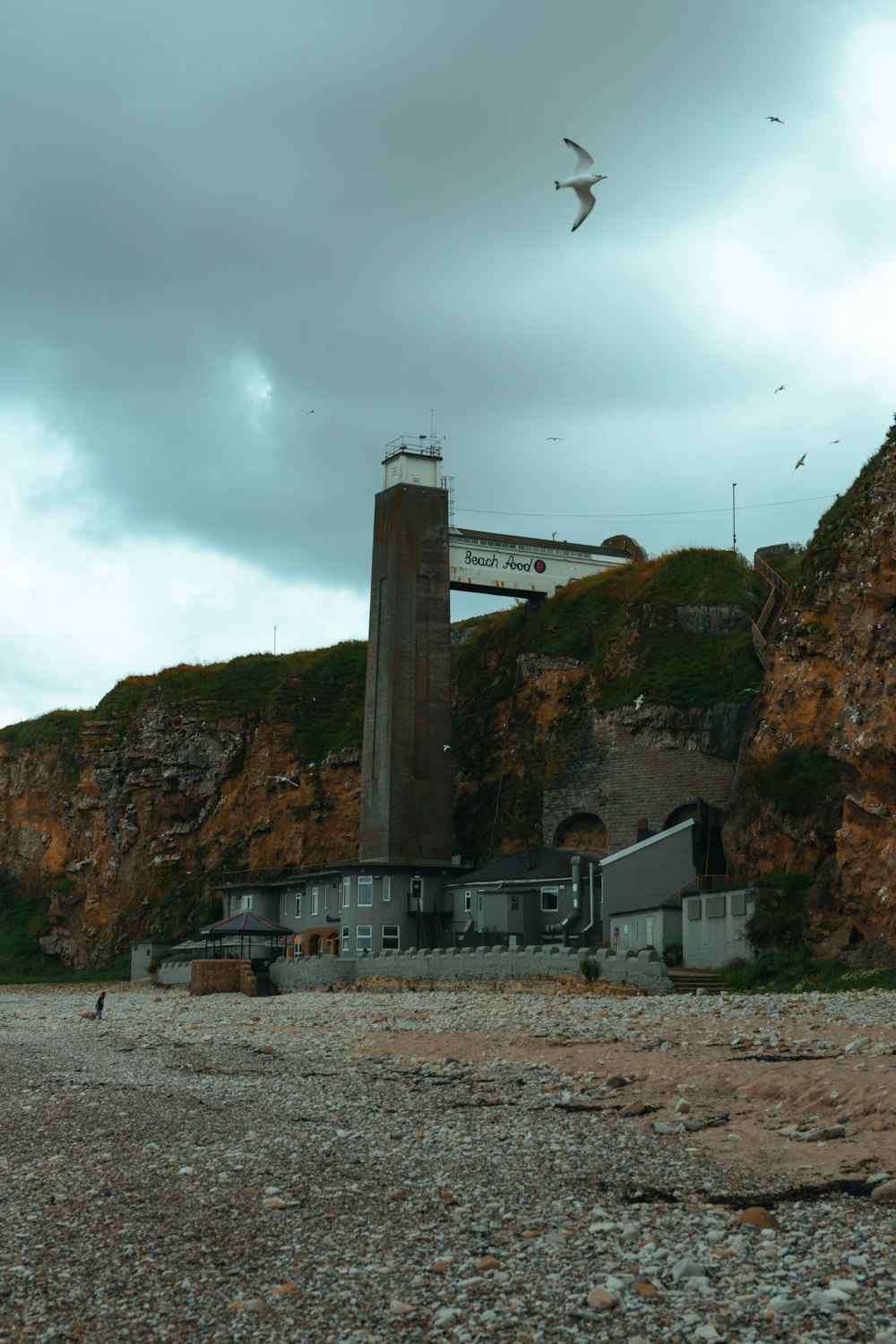 a bird flying over a building on a rocky beach