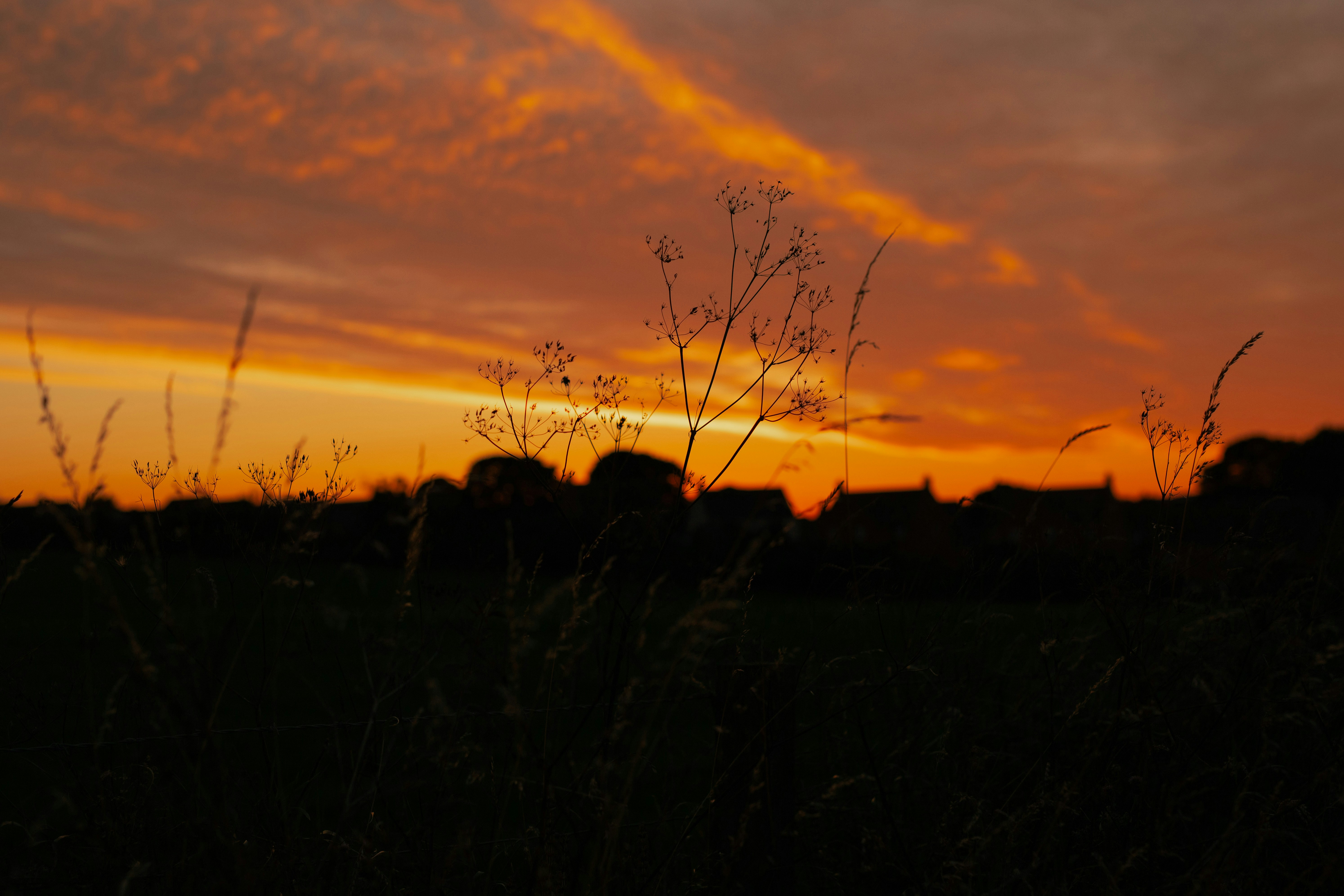 Photo by melatonical