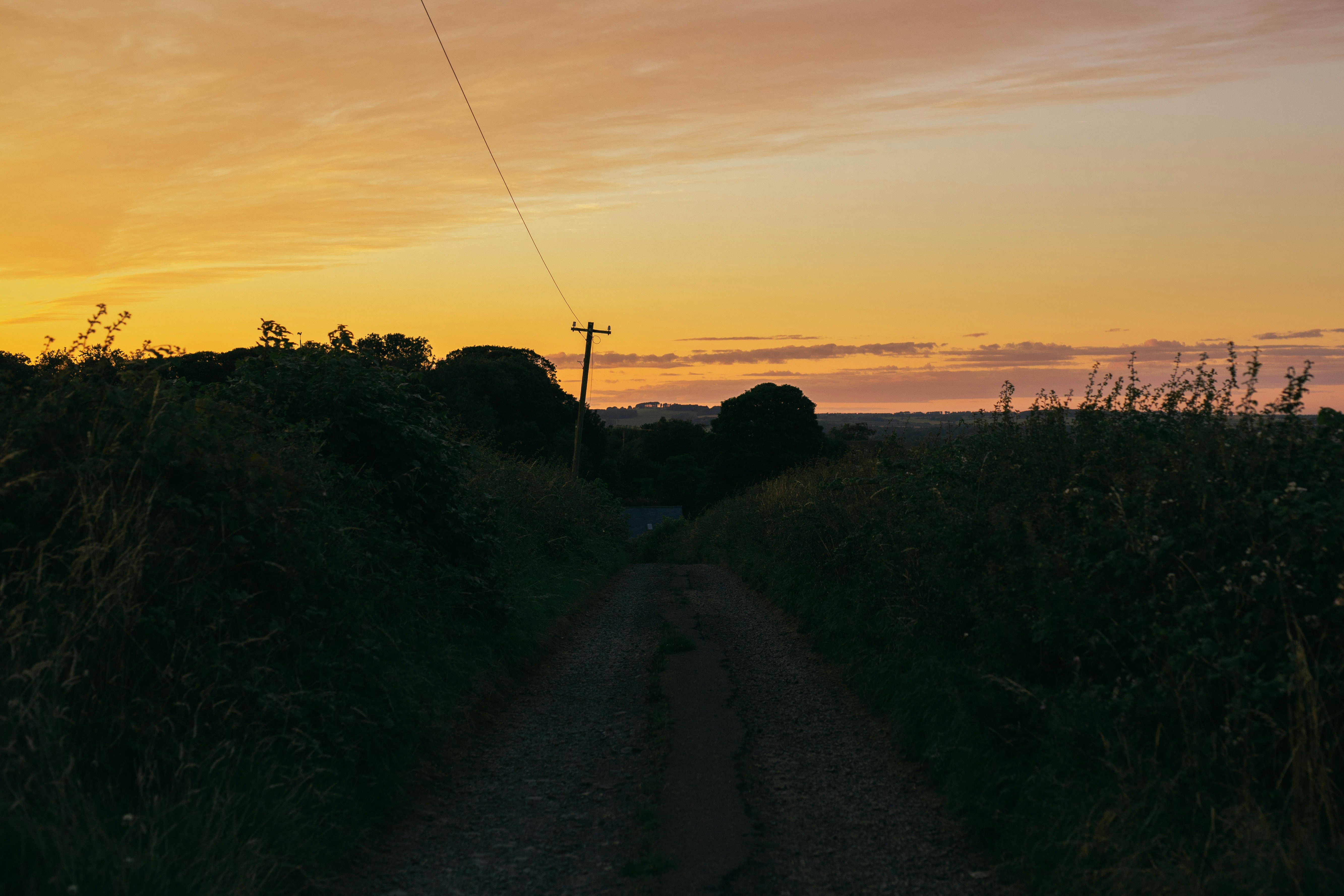 Photo by melatonical