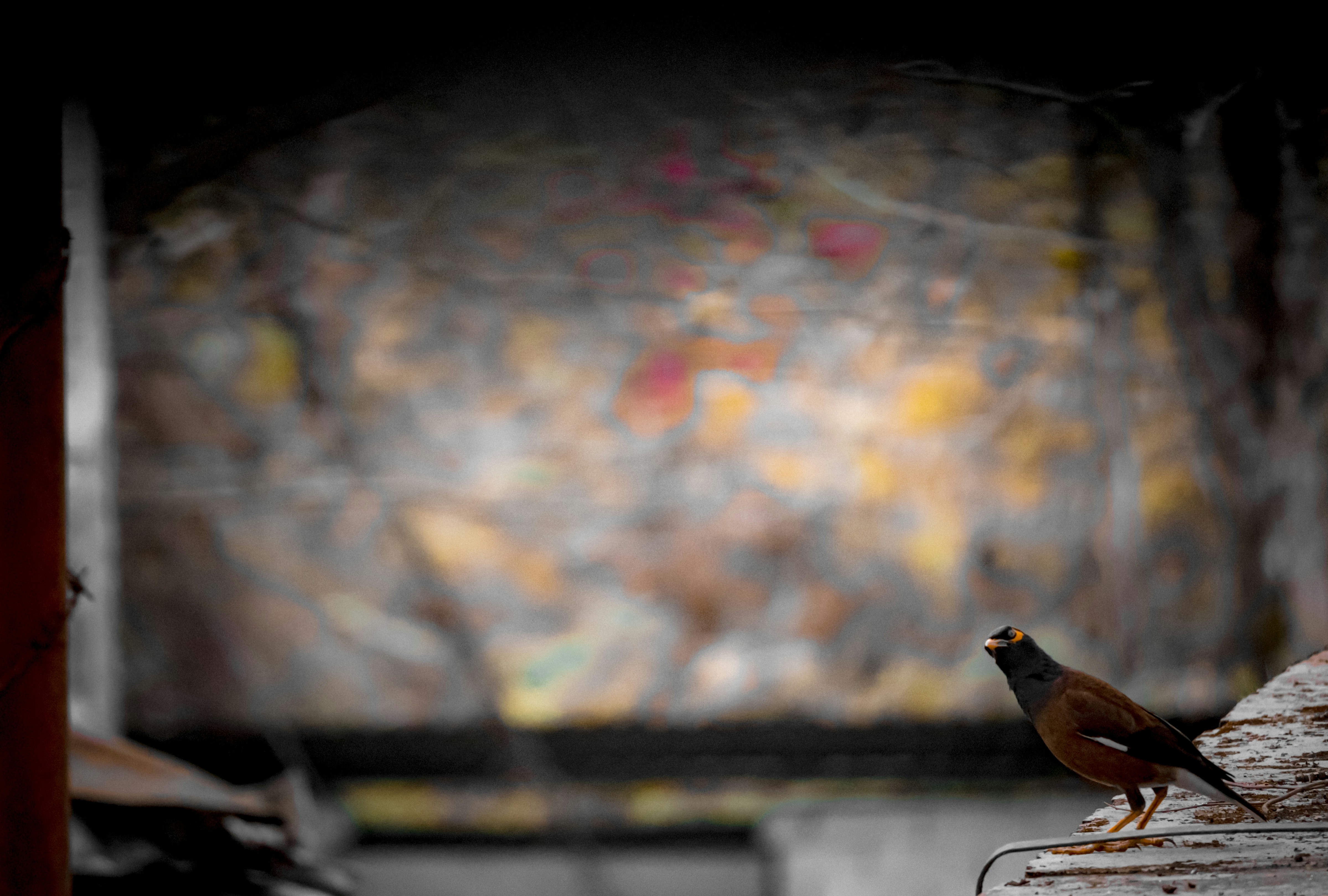 Photo by soonamwooeser