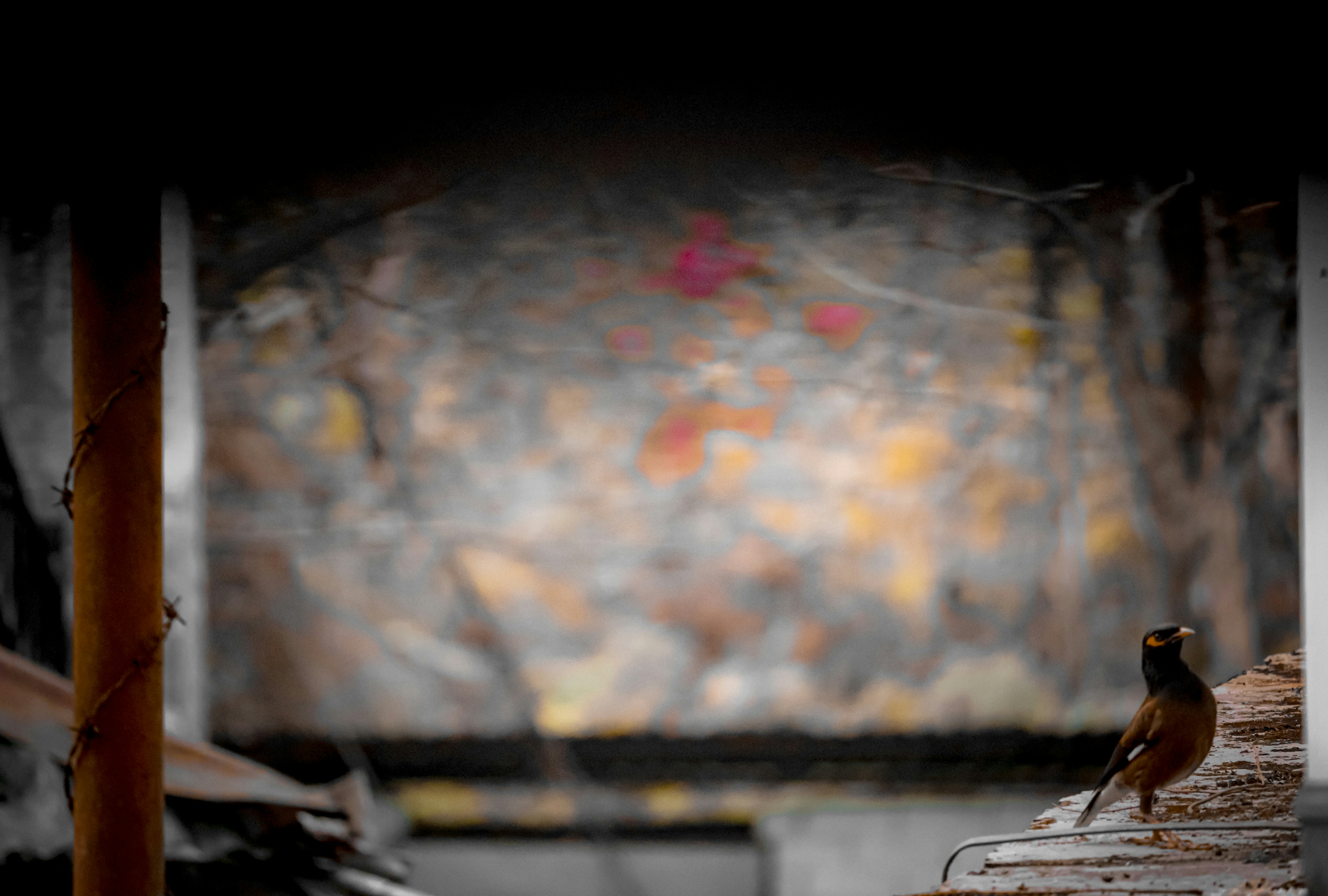 Photo by soonamwooeser