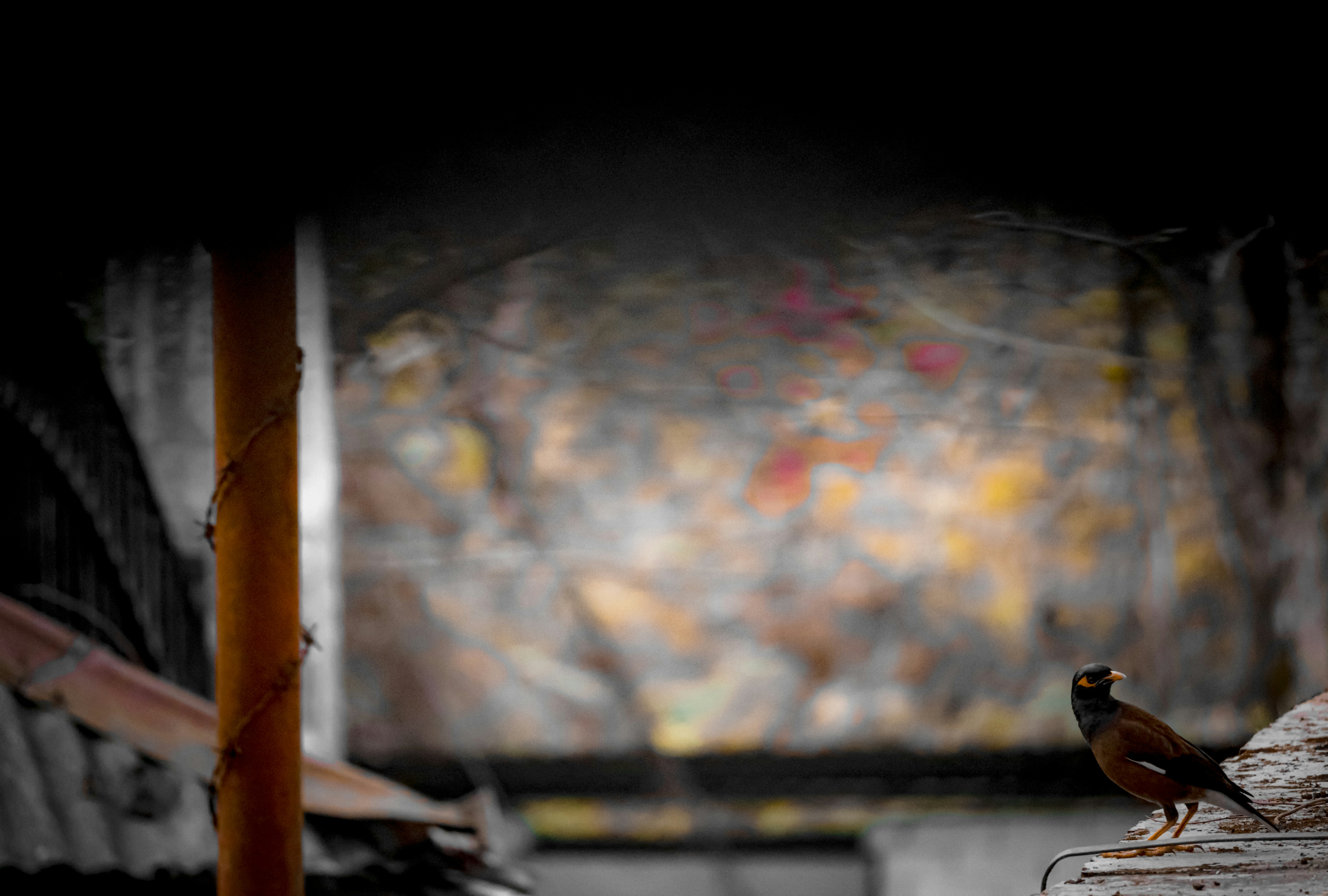 Photo by soonamwooeser