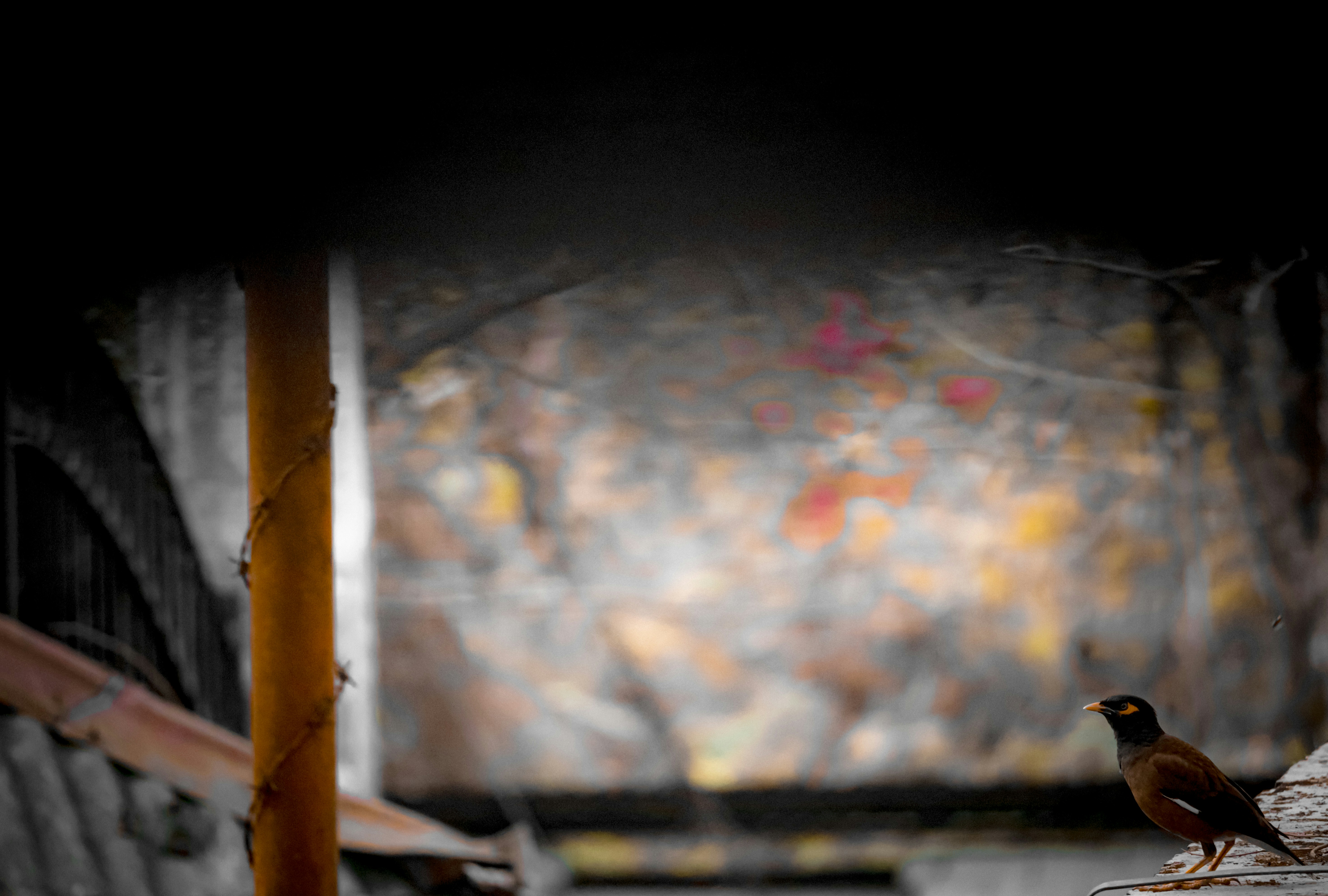 Photo by soonamwooeser