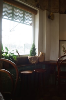 A cozy corner of Breeze Coffeeshop with plants and natural light.