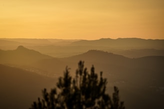 A quiet moment capturing the golden light over the peaceful countryside in southern France.