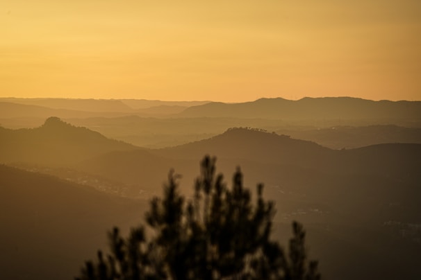 A quiet moment capturing the golden light over the peaceful countryside in southern France.