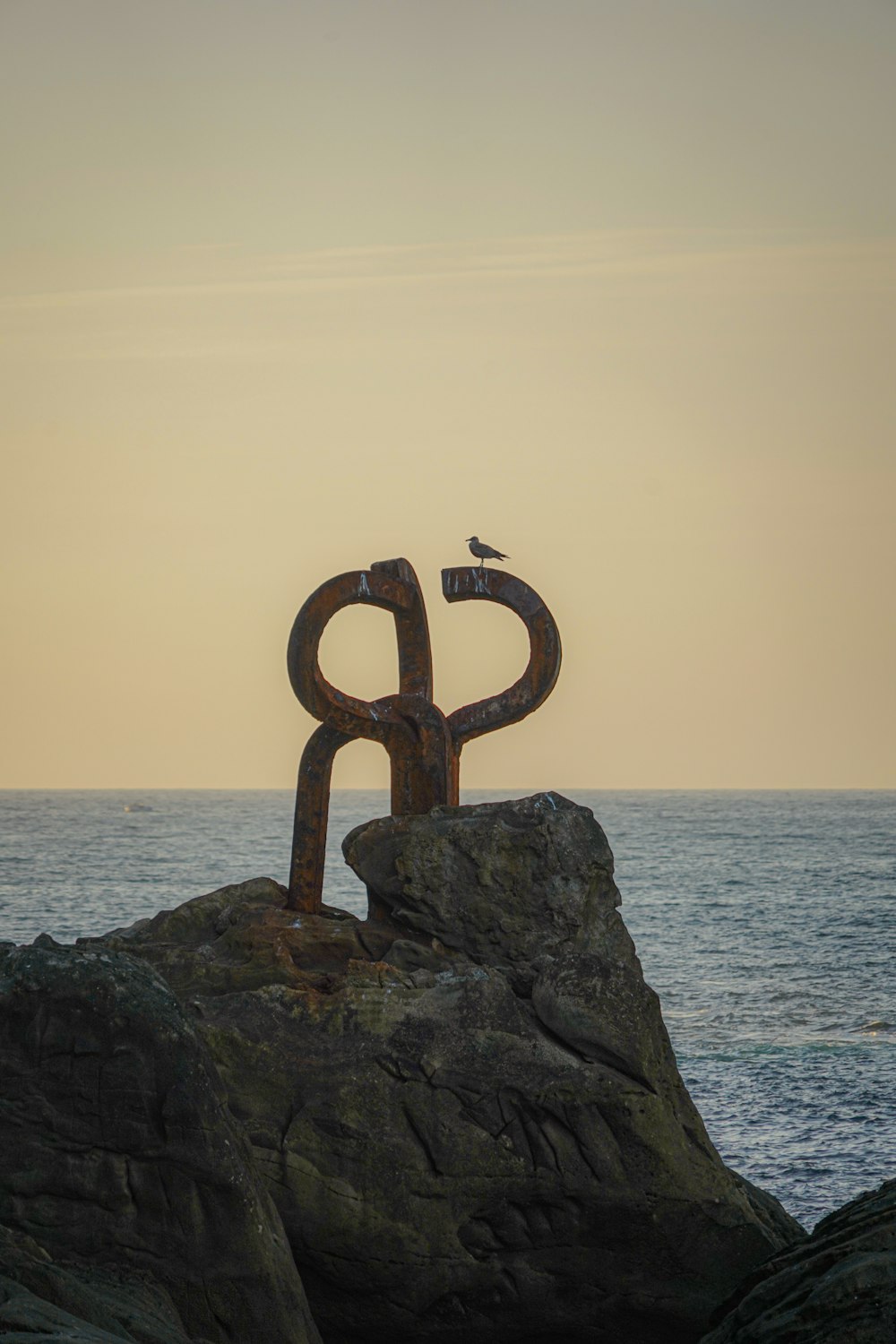 a bird sitting on top of a rock near the ocean