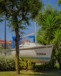A sailboat with the name 'Zumaia' is positioned on a grassy area, surrounded by trees and shrubs. In the background, there are buildings with orange roofs and a bright blue sky.