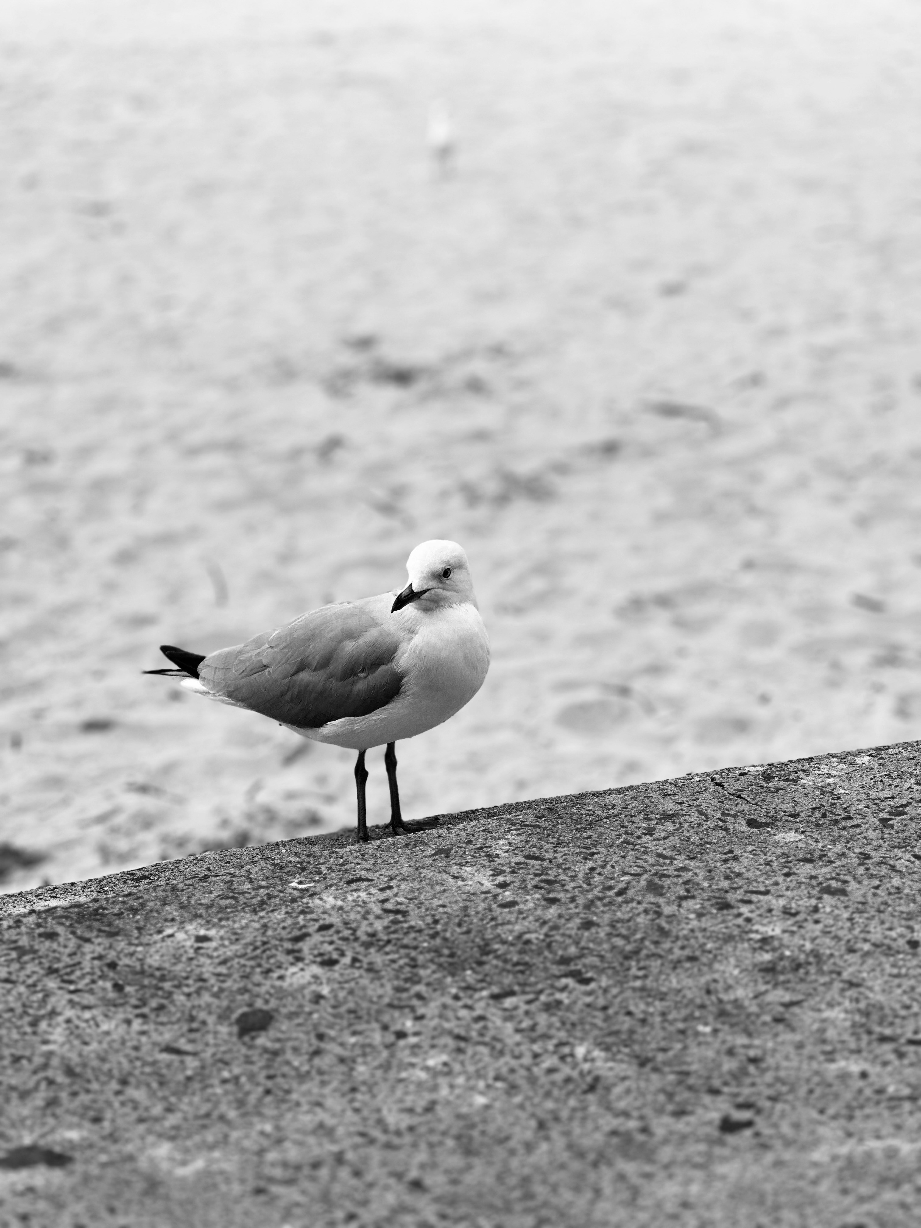 Photo by ashish_sunar