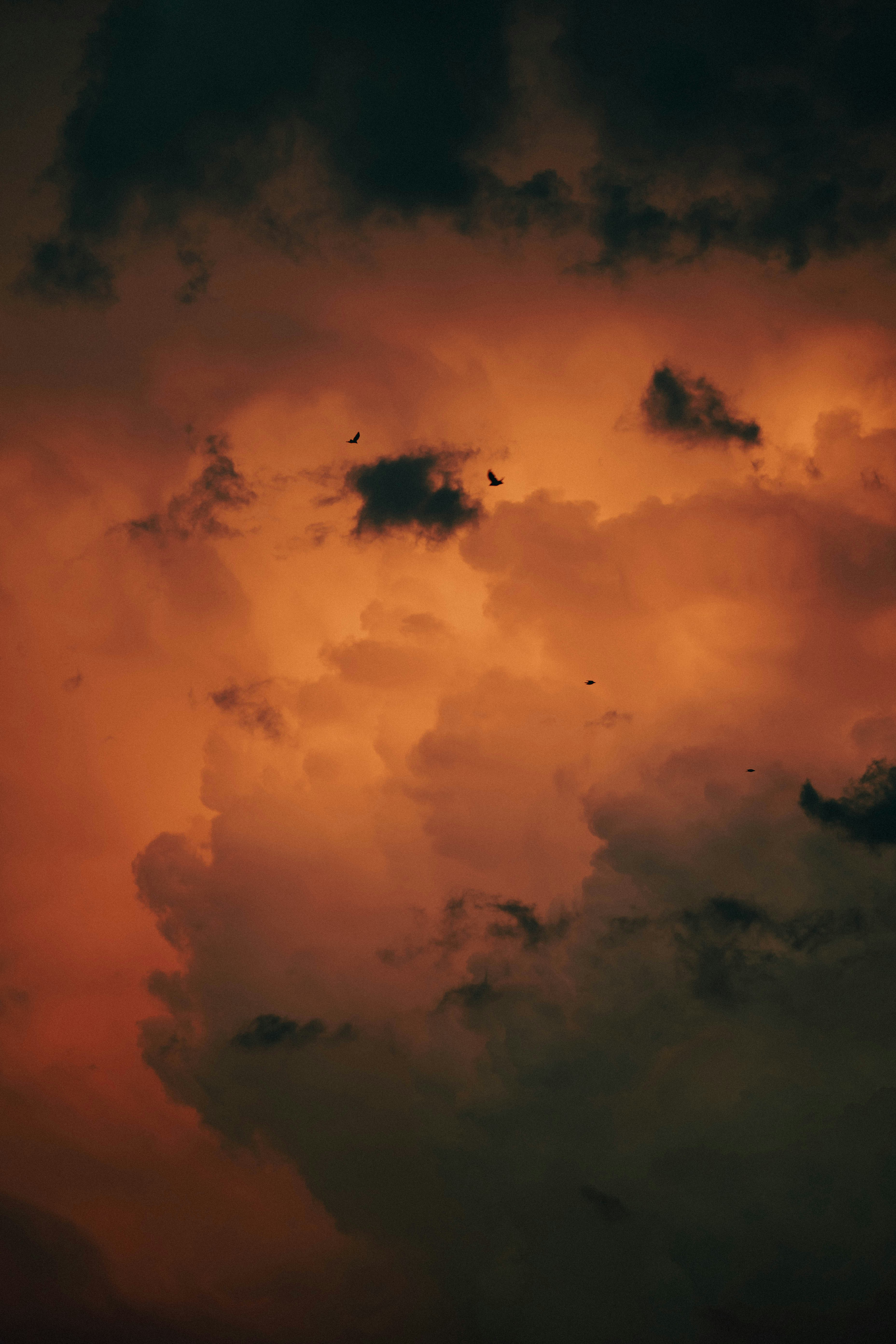 Photo by opohmelka