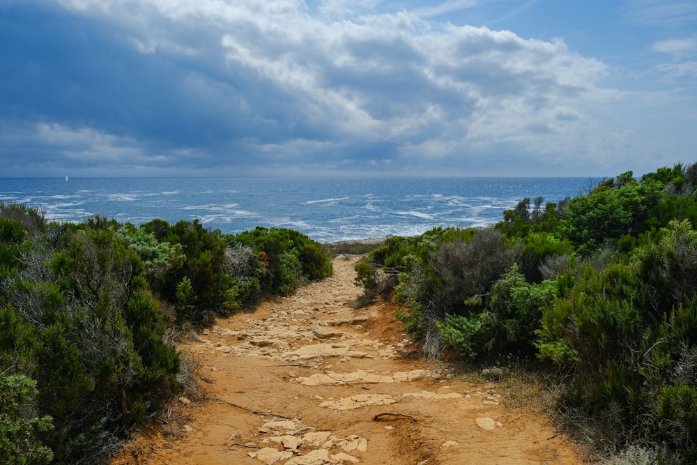 a dirt path leading to the ocean under a cloudy sky