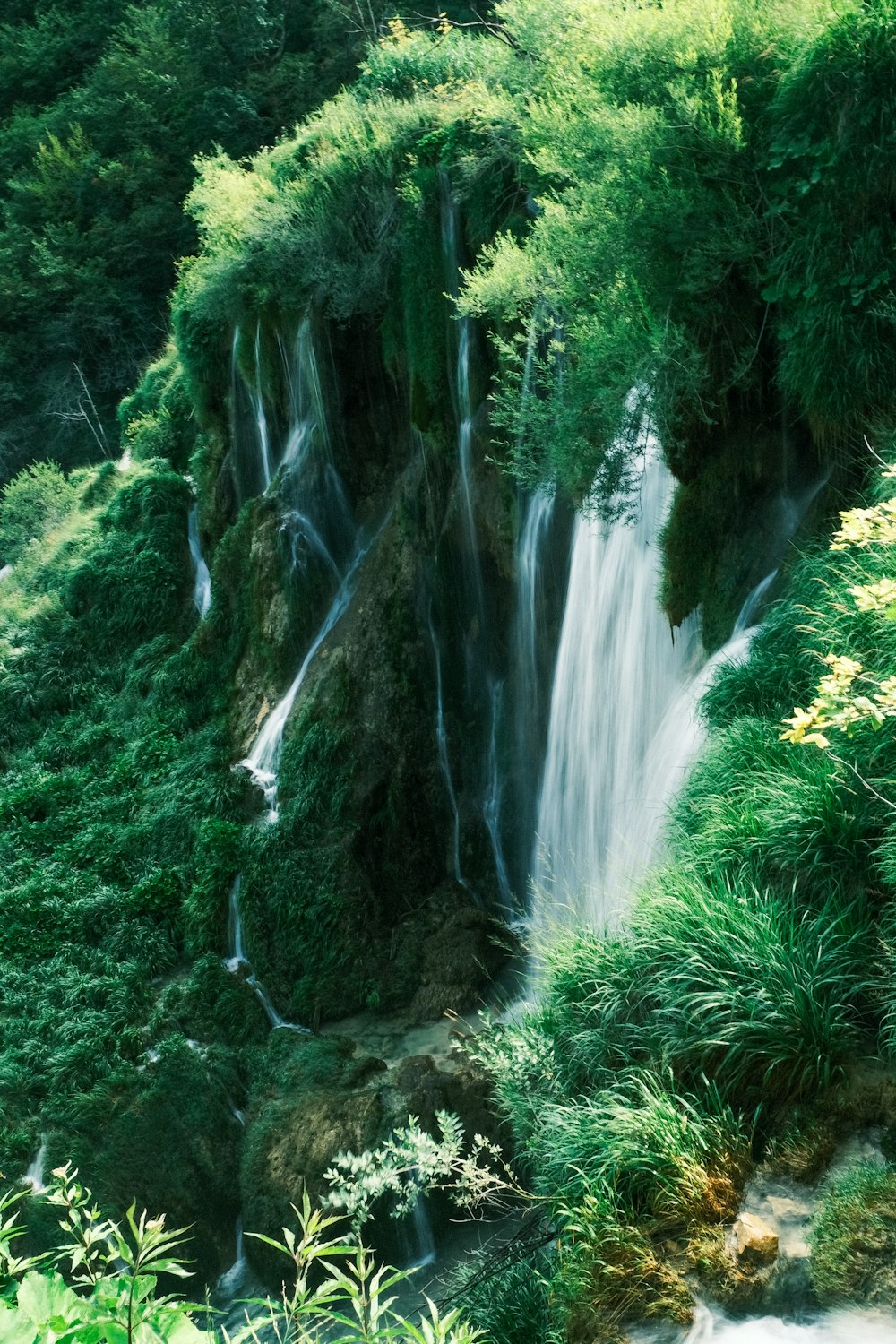 a small waterfall in the middle of a lush green forest