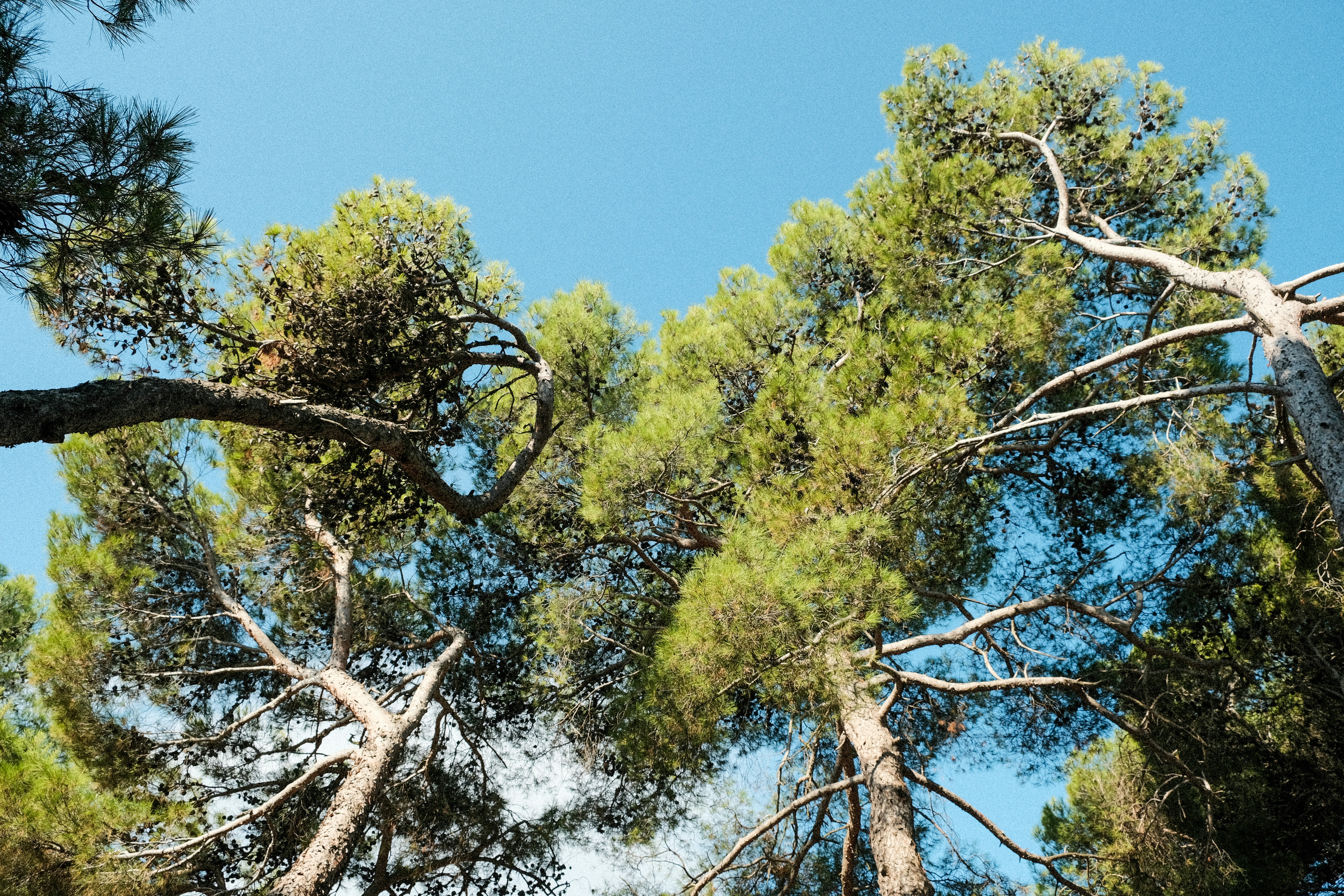 Photo by albertobiondifoto