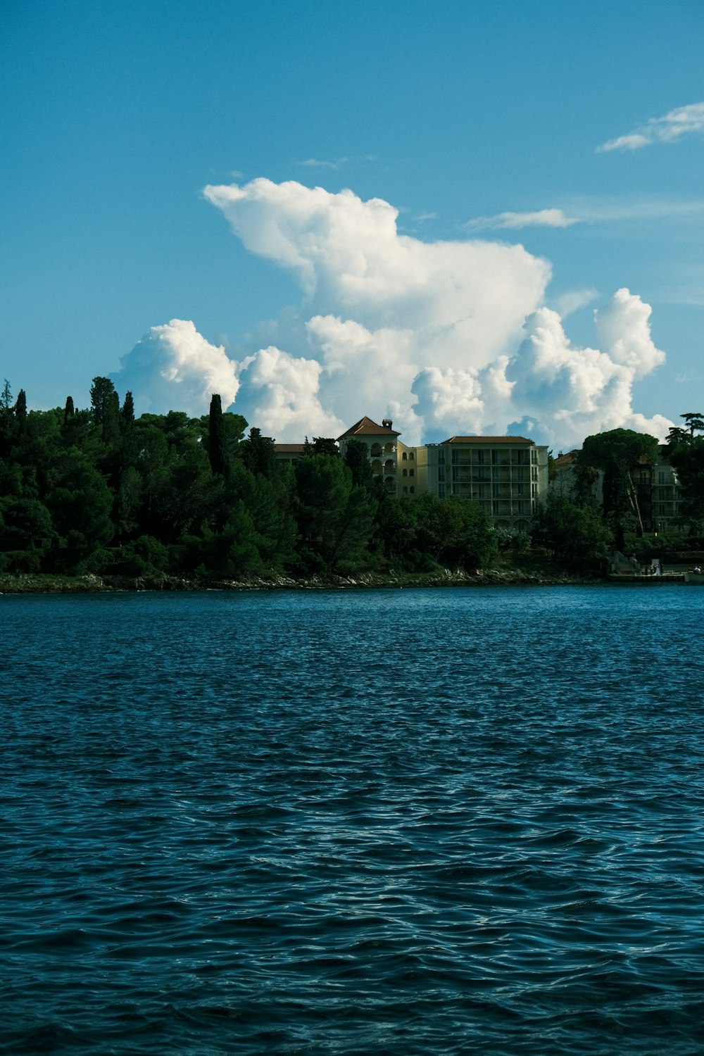 a large body of water surrounded by trees