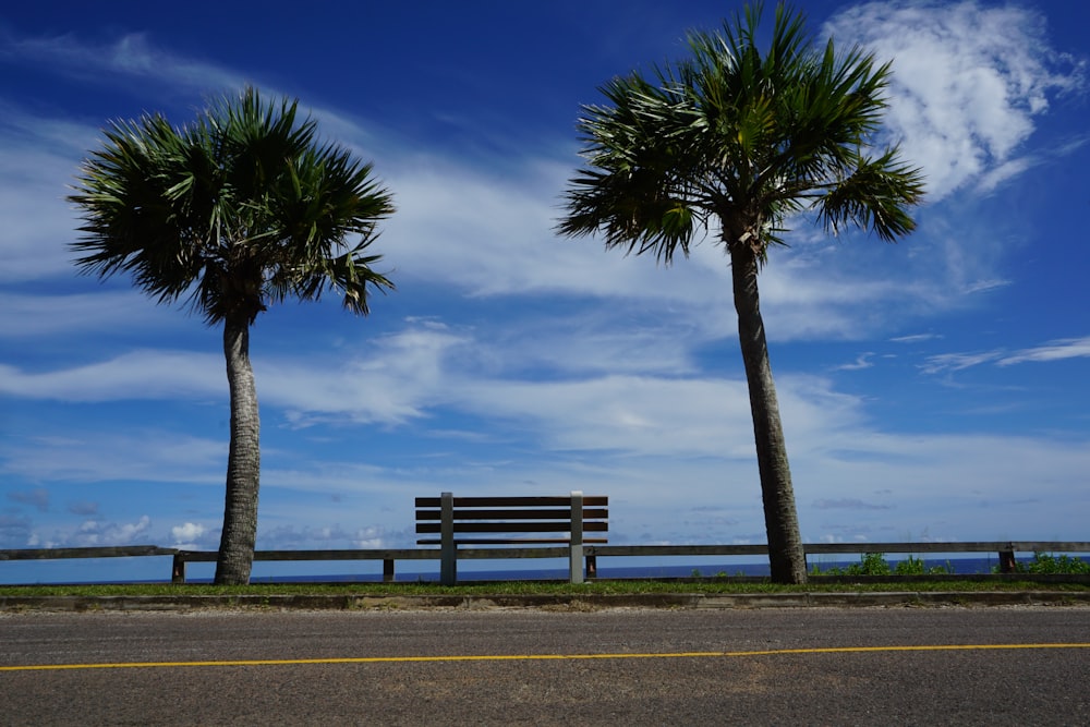 a bench sitting between two palm trees on the side of a road