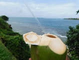 A close-up of a fresh coconut with a straw inserted, held in front of a scenic ocean backdrop. The shoreline is lined with lush greenery, and the sky is partly cloudy.