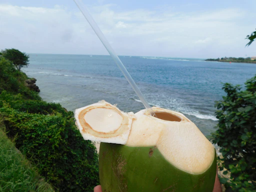 A bright, sunlit close-up of a fresh coconut with water droplets glistening on its surface against a tropical leafy background.