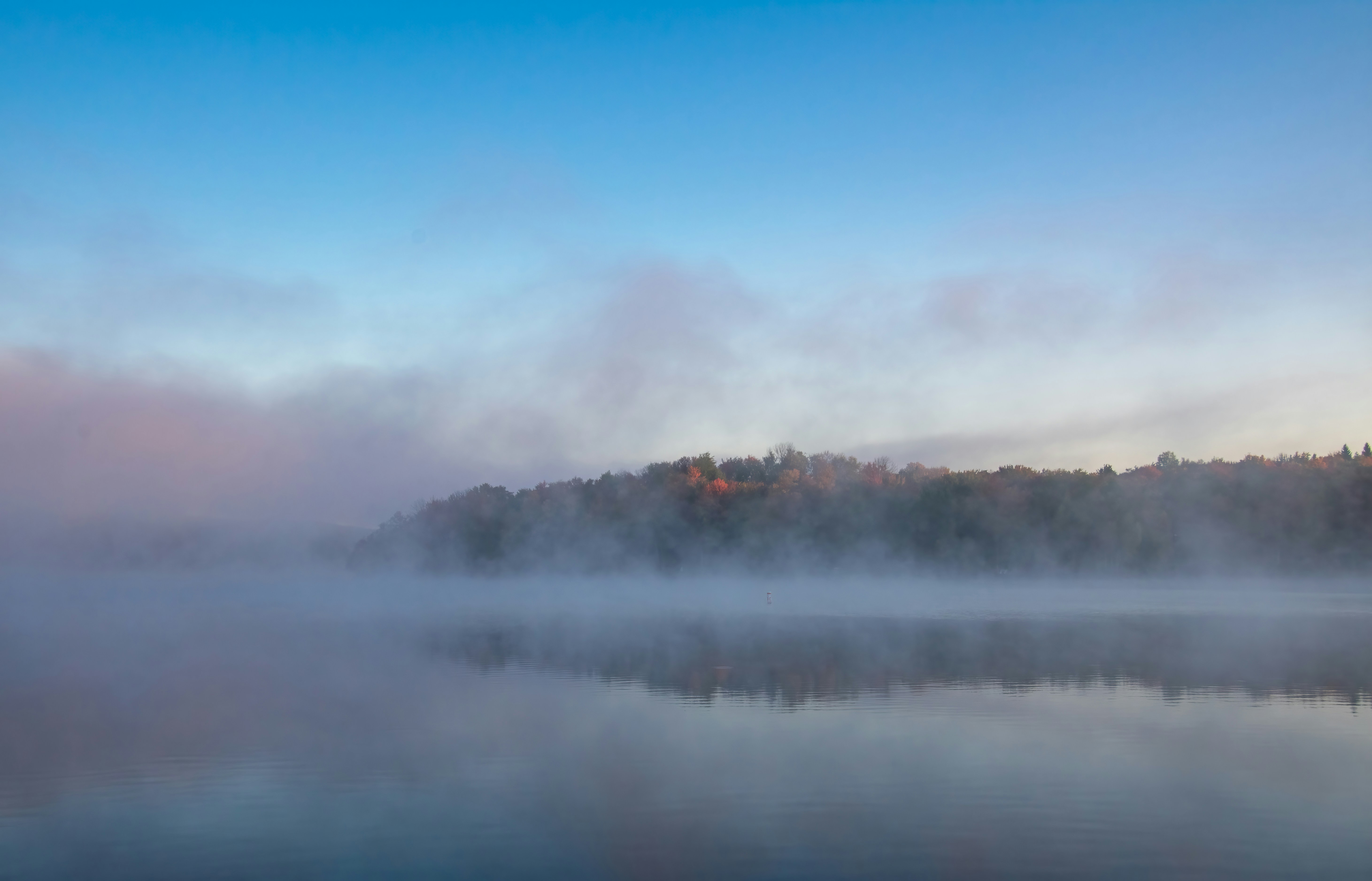a body of water surrounded by trees and fog