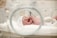 A newborn baby is crying inside an incubator wearing a white hat. The environment appears to be a hospital or neonatal unit, with medical equipment visible and a soft blanket on the incubator bed.
