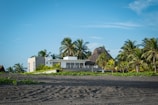 A modern white house is situated on a sandy beach surrounded by lush palm trees under a clear blue sky. The architecture blends seamlessly with the tropical environment, creating a serene and inviting atmosphere.