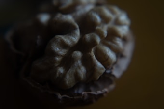 A close-up image of a walnut half with intricate, wrinkled textures and a rich brown color. The lighting is dim, creating shadows that highlight the contours of the walnut's surface.