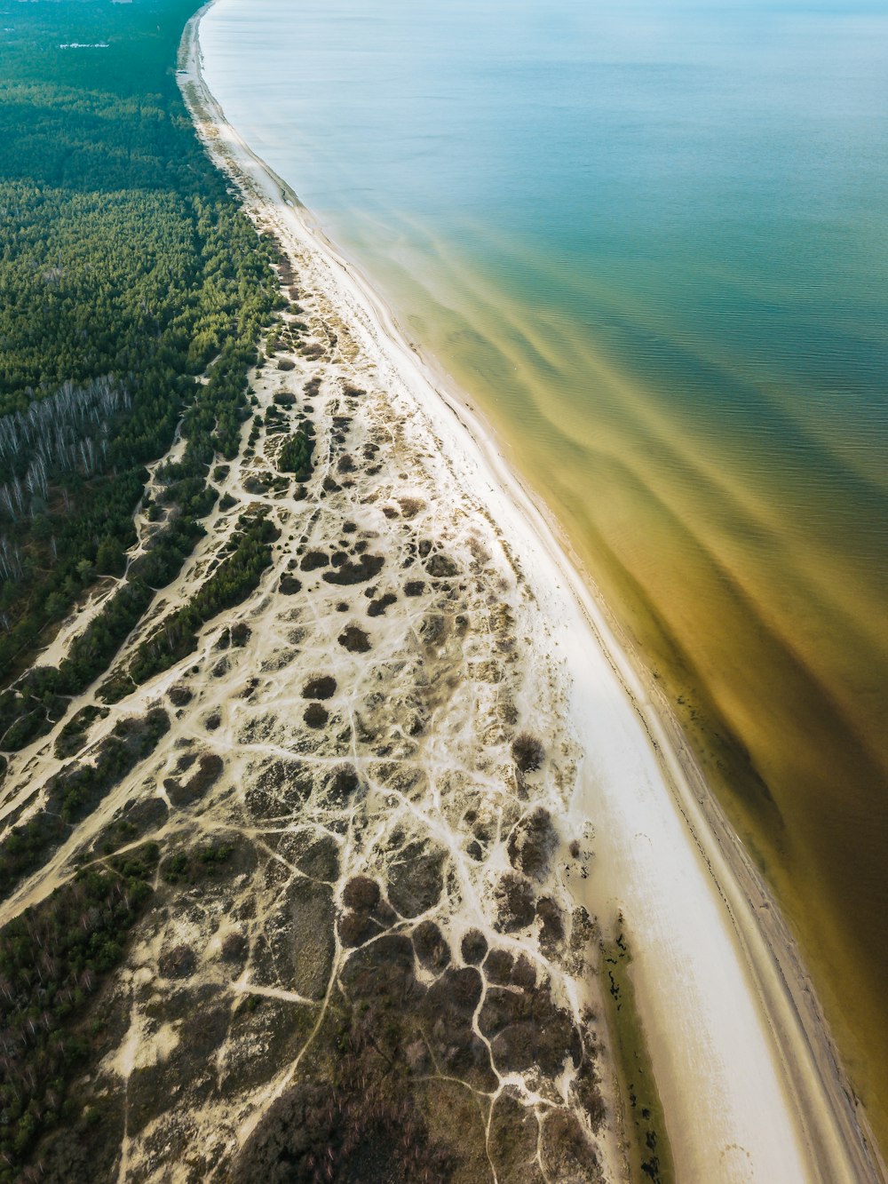 an aerial view of a beach and a body of water