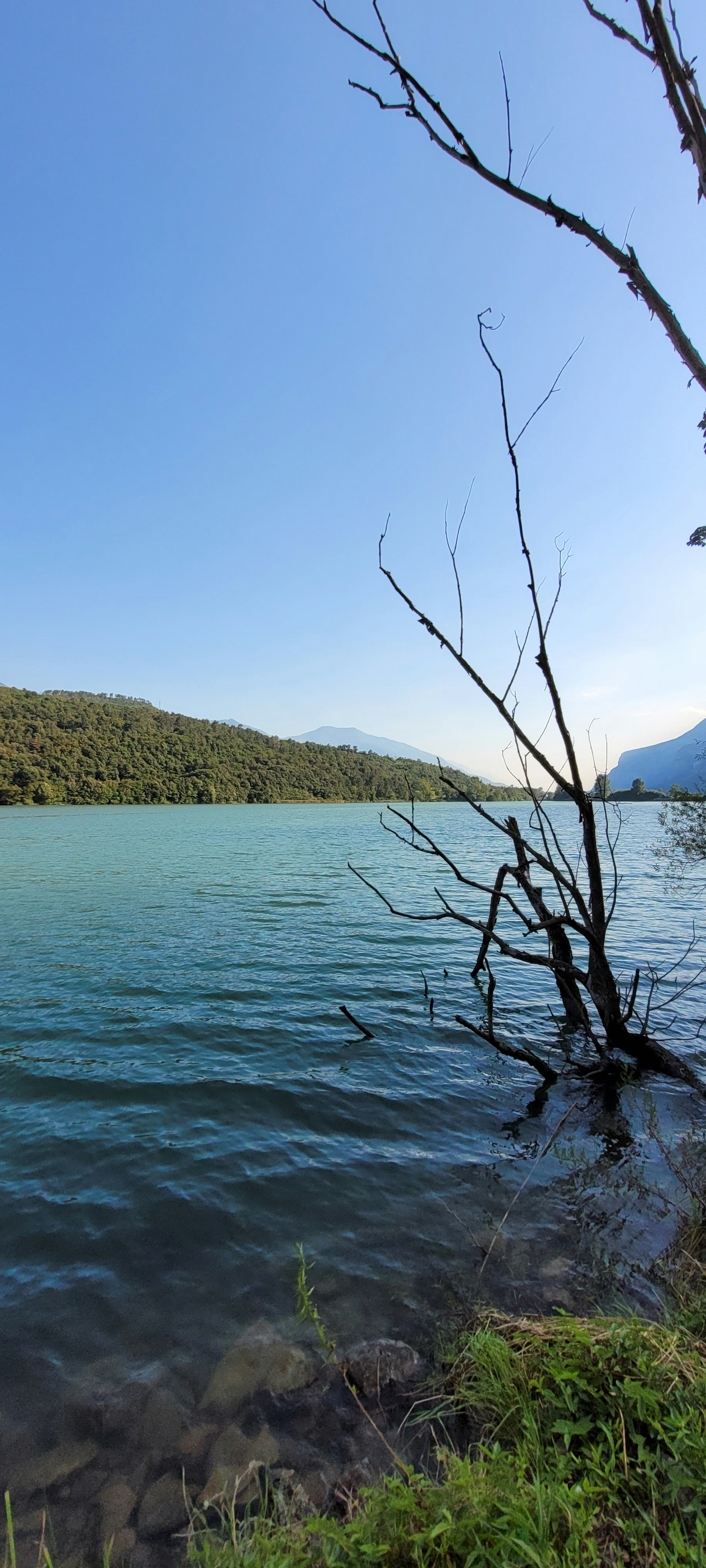 Photo by giacomocarra