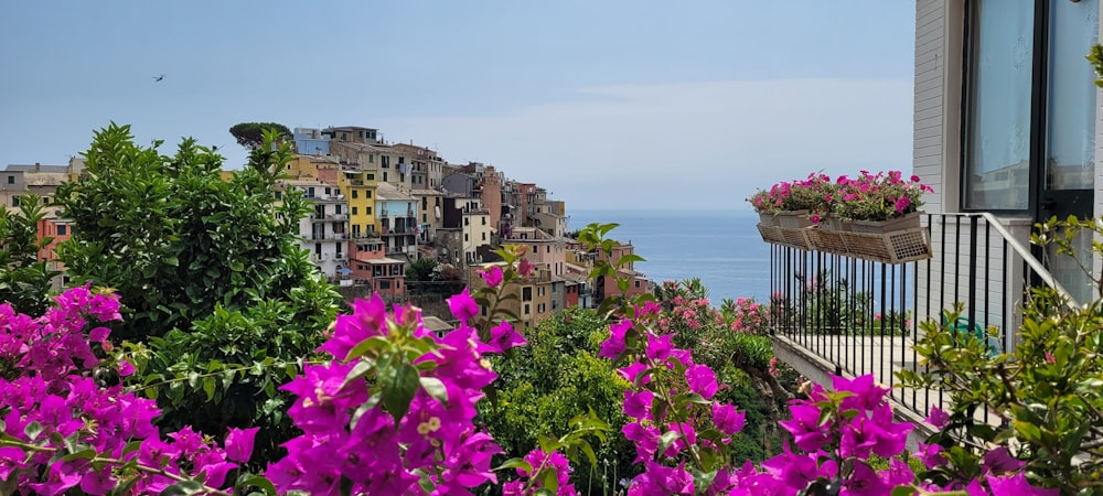 a balcony with purple flowers and a view of the ocean