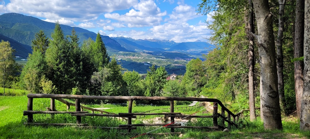 a wooden fence in the middle of a forest