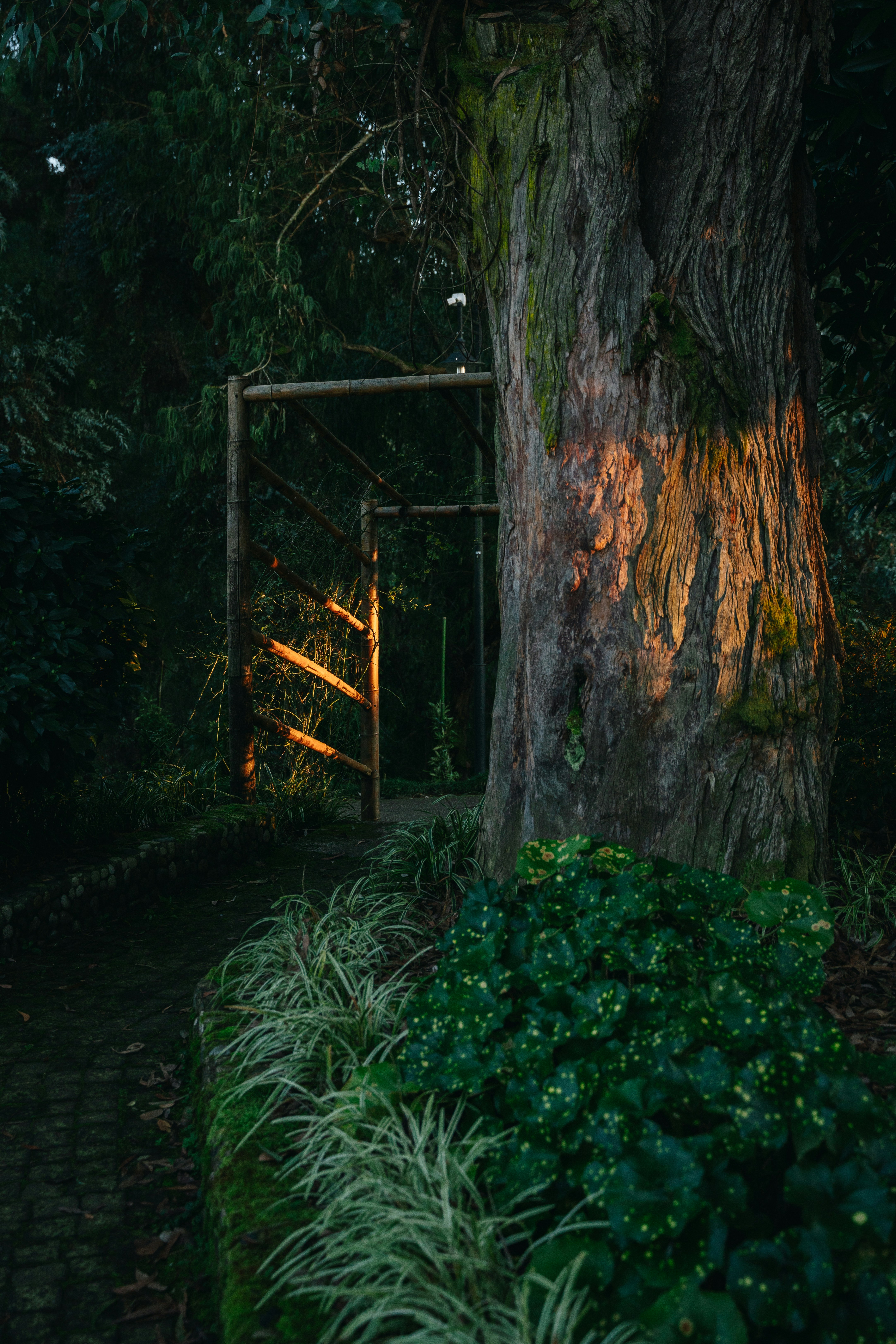 Photo by nicknight