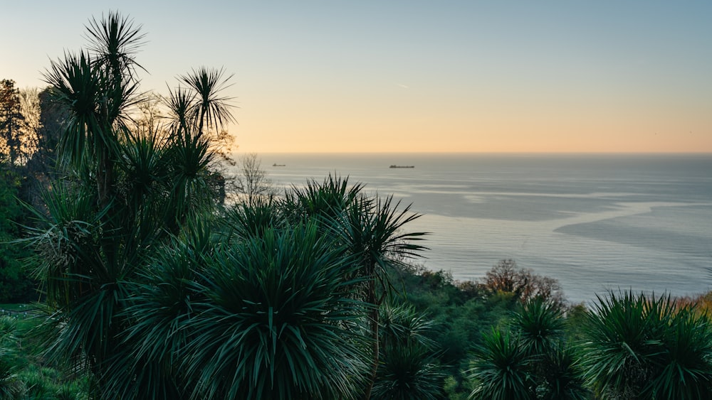 a view of a body of water from a hill