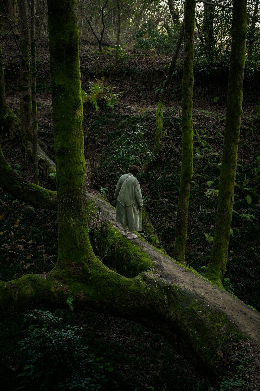 a man walking through a forest covered in green moss