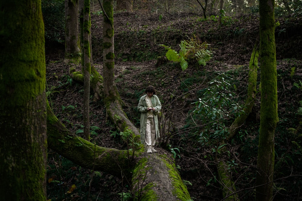 Eine Statue einer Frau, die auf einem umgestürzten Baum in einem Wald steht