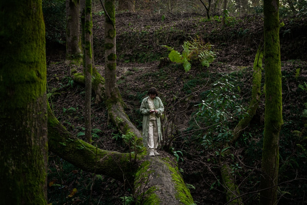 a statue of a woman standing on a fallen tree in a forest