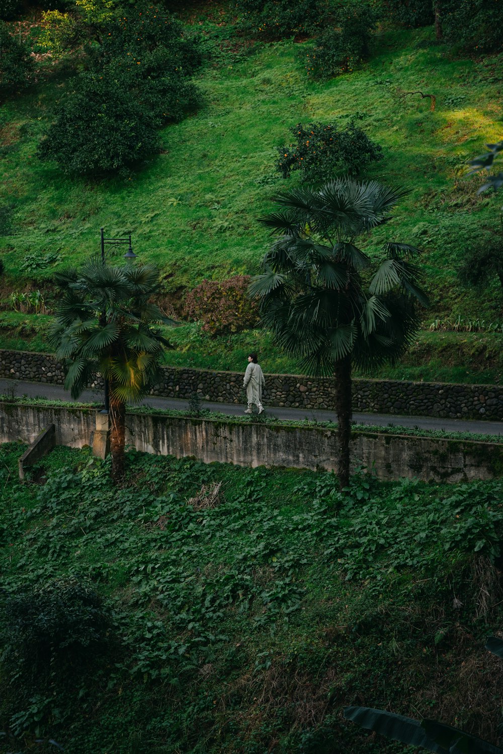 a person walking down a street next to a lush green hillside