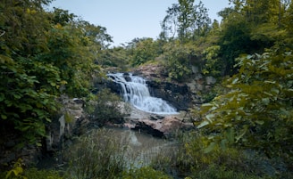 a small waterfall in the middle of a forest