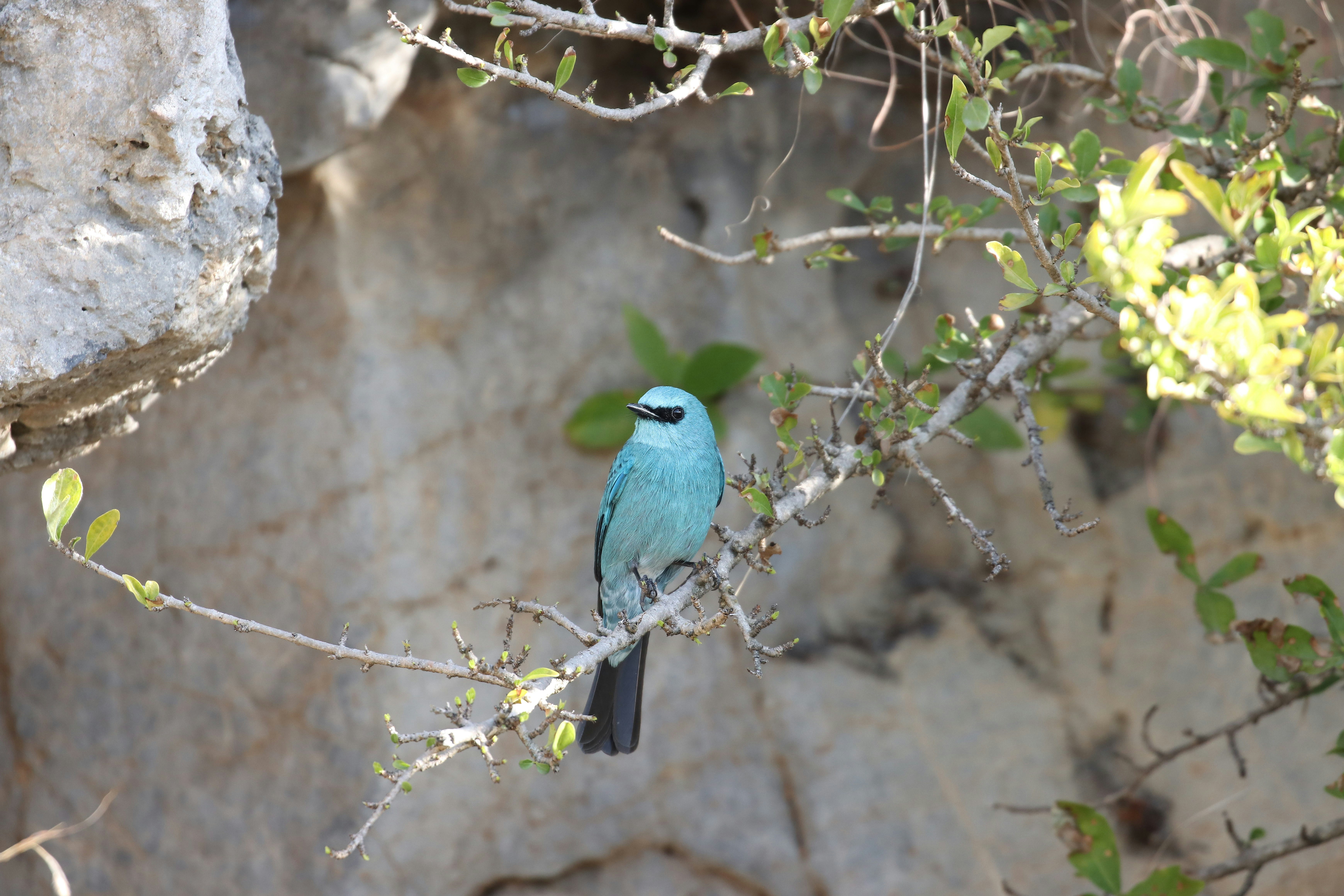 Photo by prashantpatare