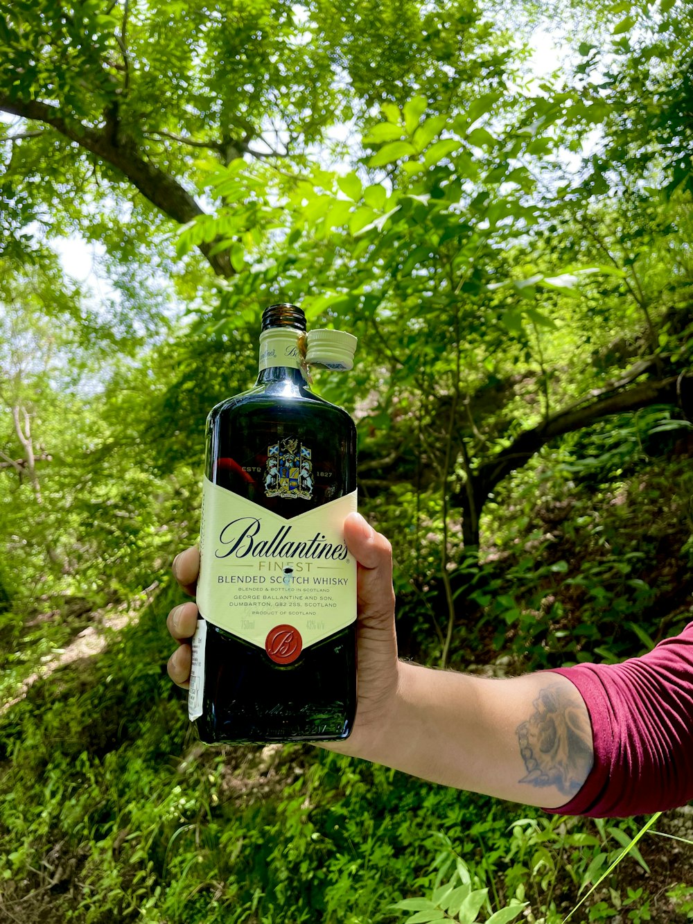 a person holding a bottle of wine in a forest