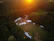 A happy camper setting up a tent at sunset in a forest clearing.