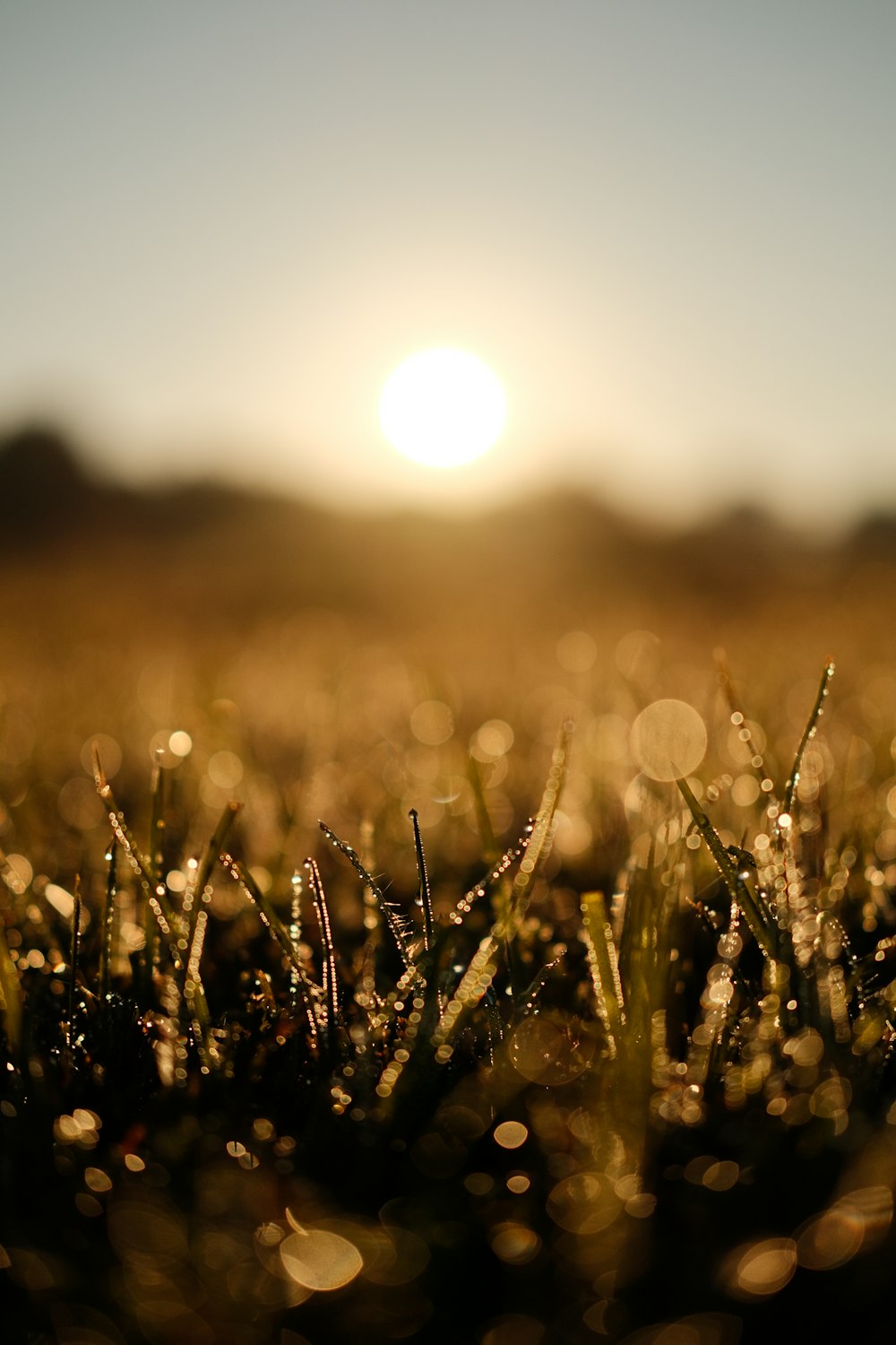 the sun is setting over a field of grass