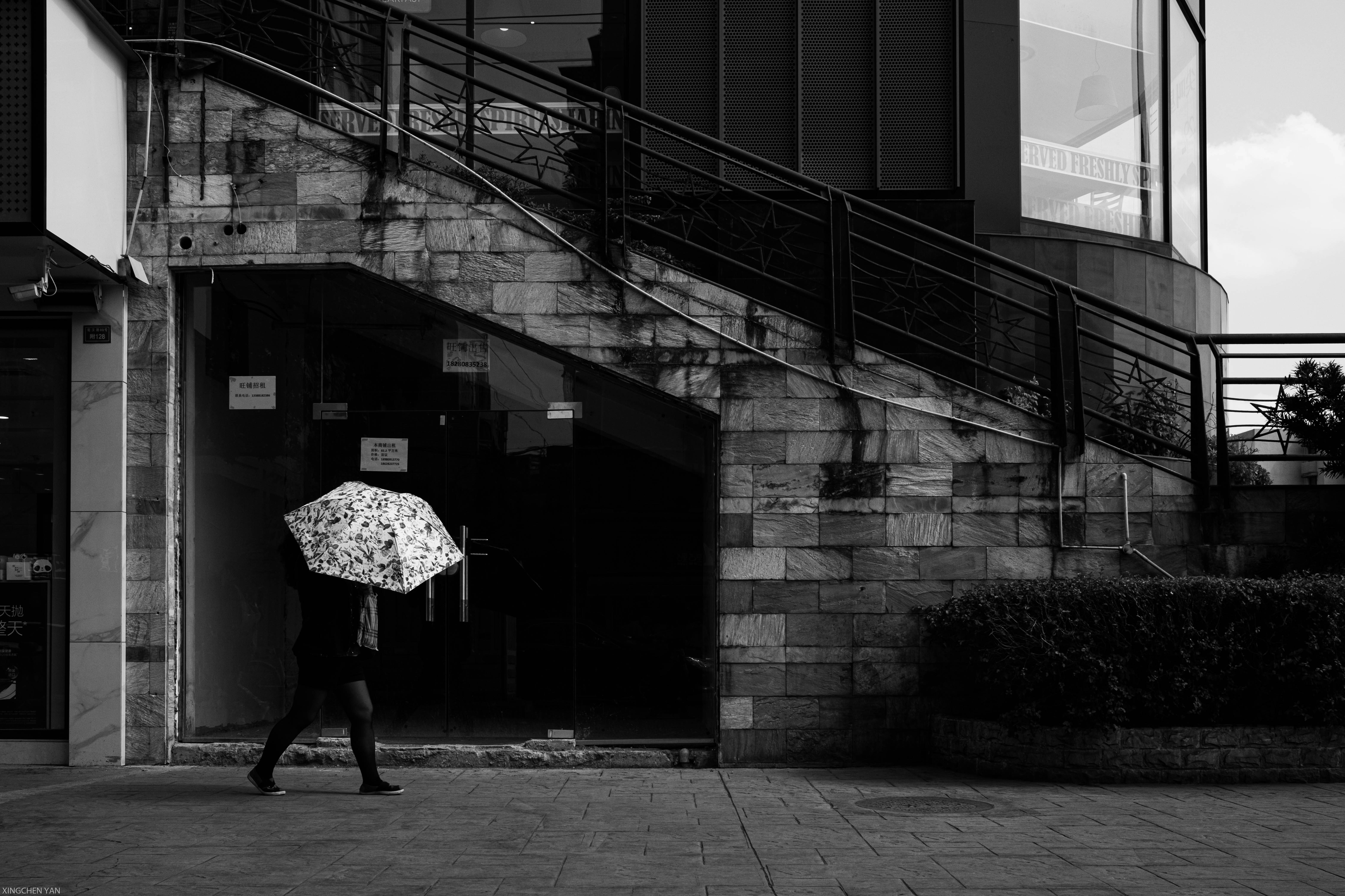 Photo by xingchenyan