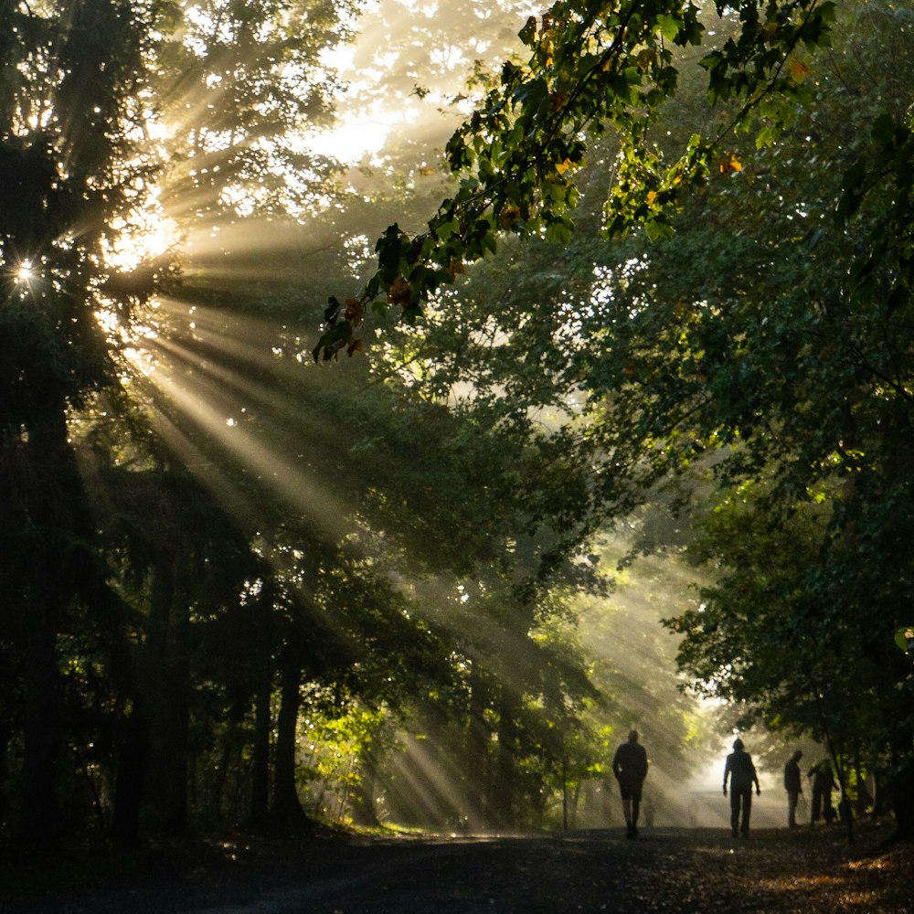 a group of people walking down a dirt road