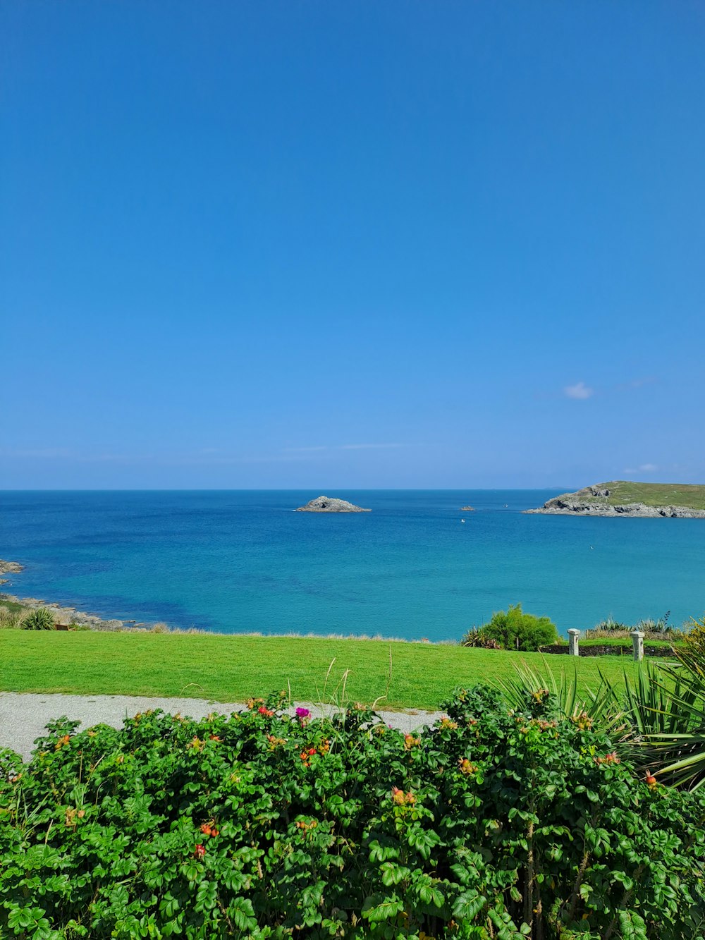 a large body of water sitting next to a lush green field