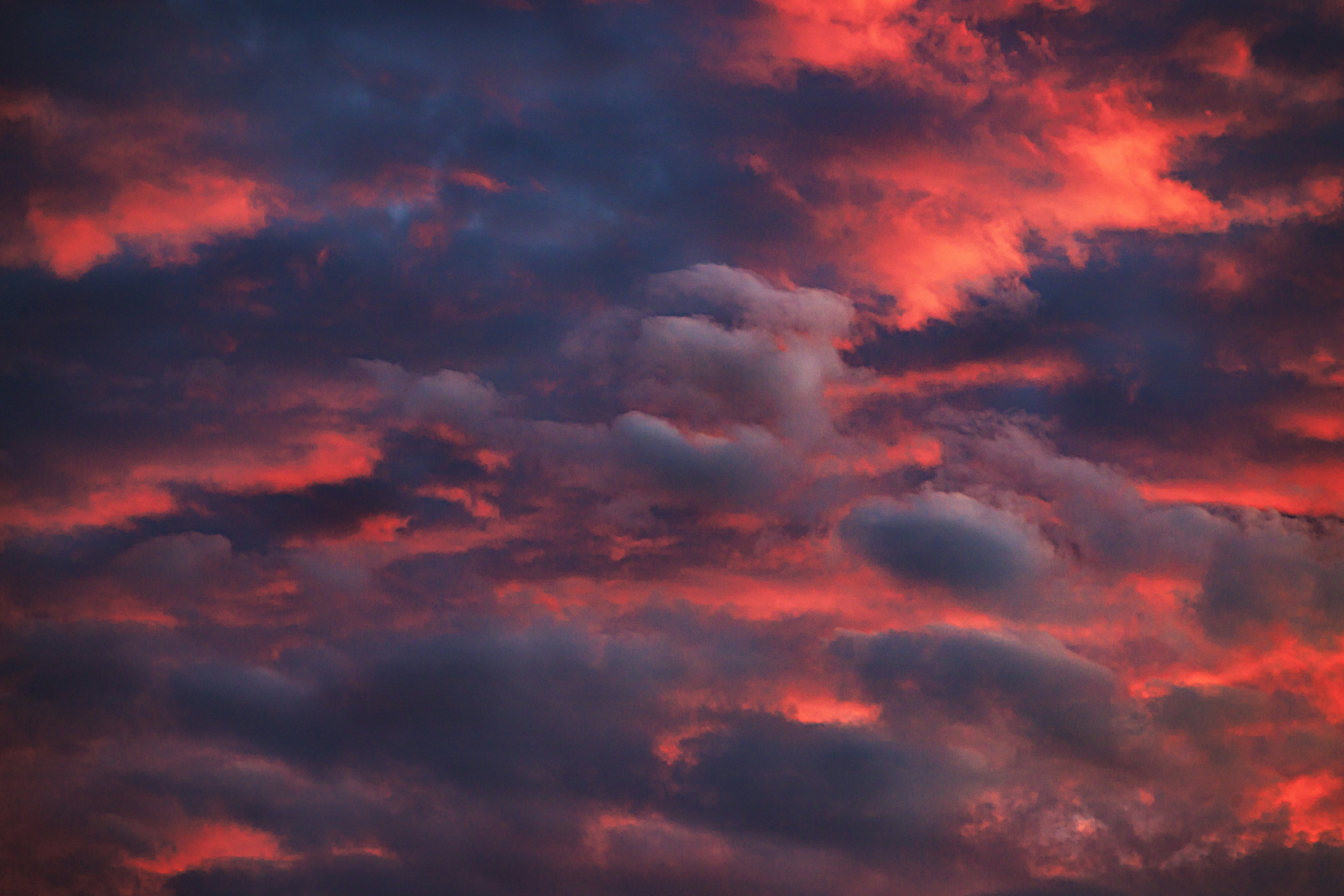 Photo by arizonanthony