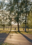 a person riding a bike down a tree lined street