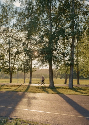 a person riding a bike down a tree lined street