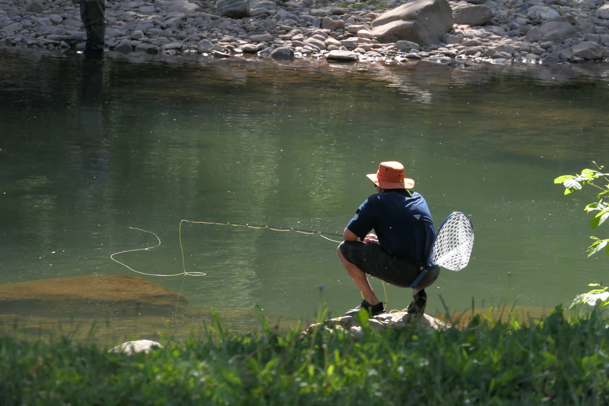 Pesca deportiva