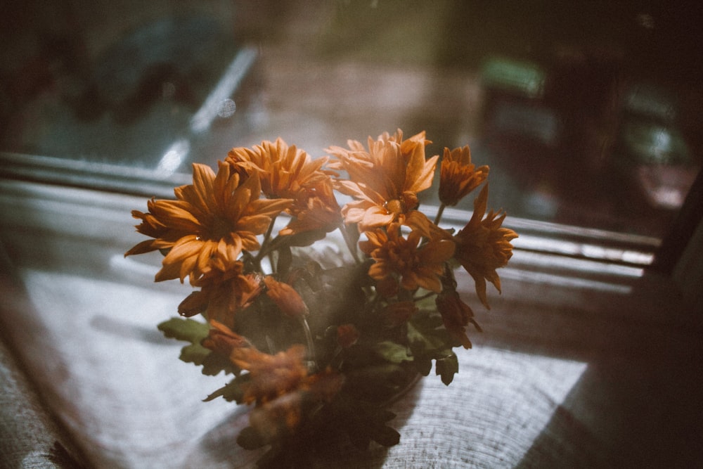 a vase filled with orange flowers sitting on top of a window sill