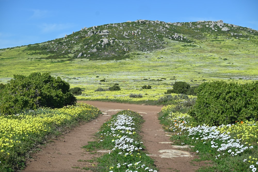 a dirt road surrounded by wildflowers and trees